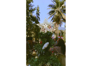 christmas-2021_0021_6