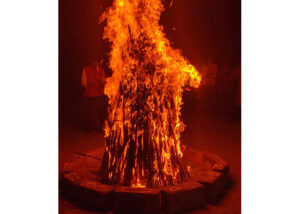 holi-2022_0021_5