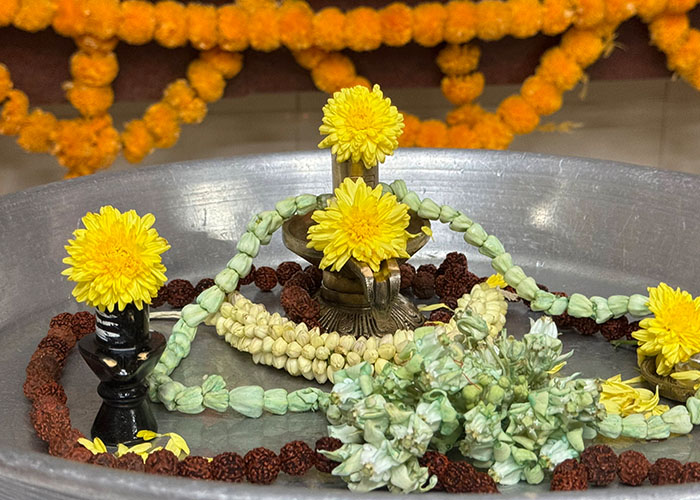 mahashivratri-08-03-2024_0003_IMG_9923