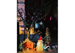 25.12.2023-Christamas_0001_IMG_1418