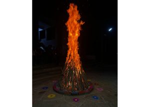 holi-2025_0000_IMG_1378